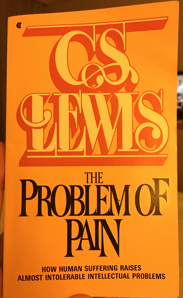 The Problem of Pain book cover