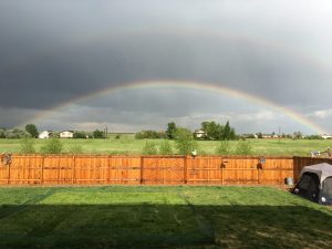 Rainbow seen from backyard