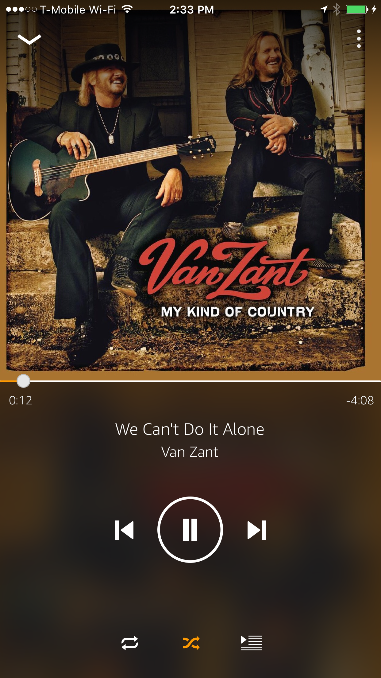"We Can't Do It Alone" on Amazon Music